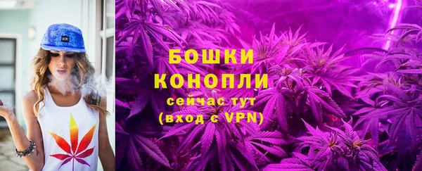 спайс Белокуриха