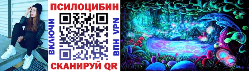 купить закладку  Мариинский Посад  Галлюциногенные грибы Psilocybe 